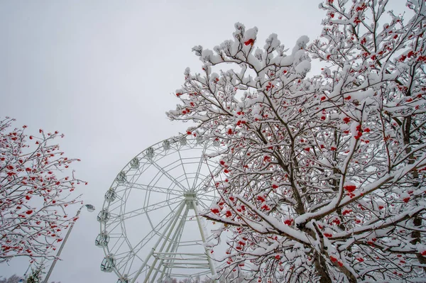 Snö Väcker Reaktioner Som Går Tillbaka Till Barndomen För Att — Stockfoto