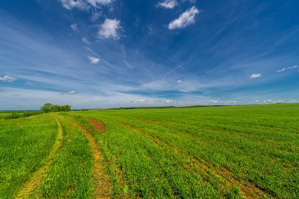 Pintoresca Vista Del Hermoso Paisaje Luz Del Día — Foto de Stock