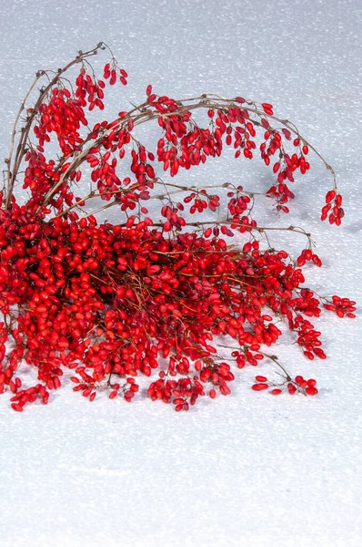 Beautiful Botanical Shot Berry Wallpaper — Stock Photo, Image