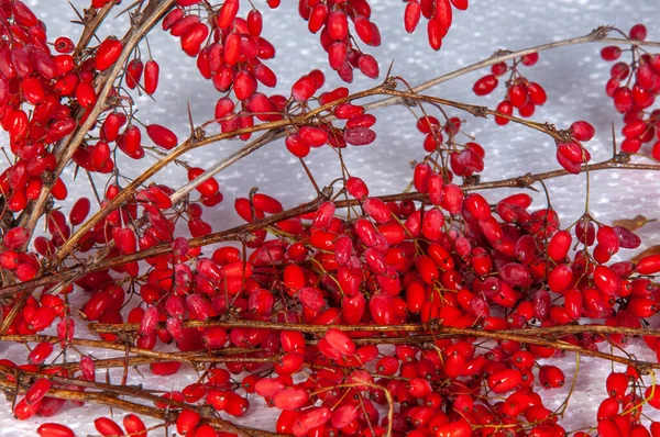 Beautiful Botanical Shot Berry Wallpaper — Stock Photo, Image