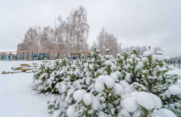 Första Snön Med Varje Fallande Skala Faller Unik Gnista Intresse — Stockfoto