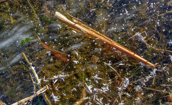 Gelo Sulla Strada Ghiaccio Sul Fiume Bolle Ghiaccio Bloccate Nel — Foto Stock