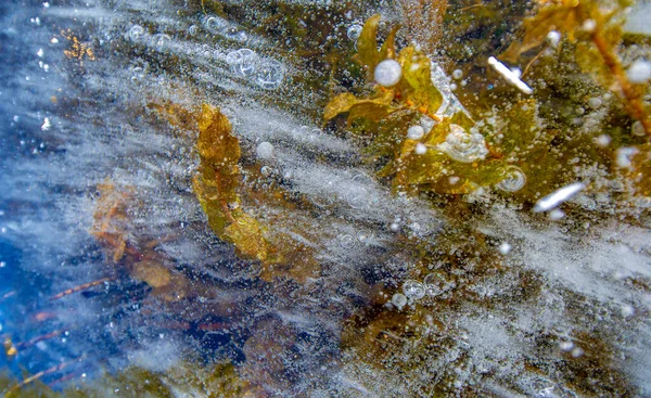 氷の泡が氷の中にたまっています異常にカラフルな氷の建築物です — ストック写真