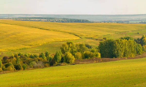 Krásná Letní Krajina Scéna Denního Světla — Stock fotografie