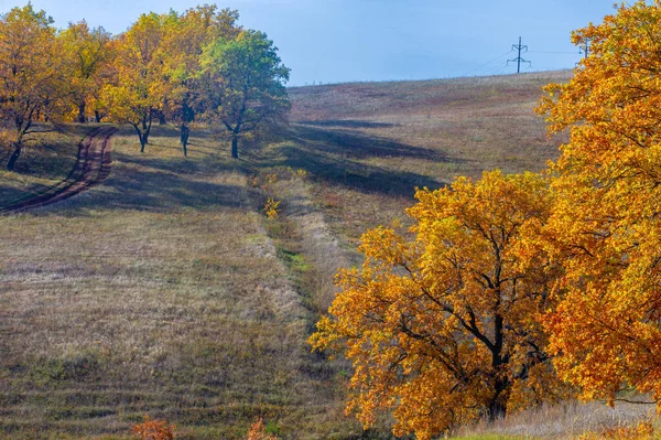 Осінні Пейзажні Зйомки Найкращий Фотограф Змішані Ліси Осінньому Стані Барвисті — стокове фото