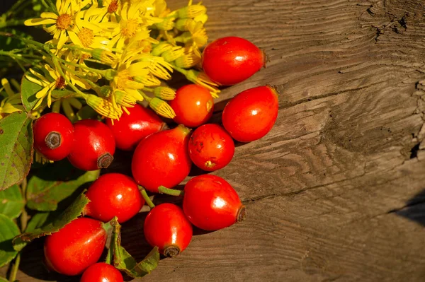 Schöne Botanische Aufnahme Beerentapete — Stockfoto