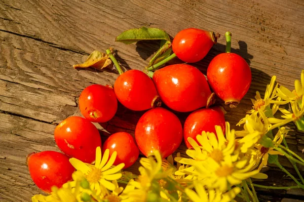 Beautiful Botanical Shot Berry Wallpaper — Stock Photo, Image