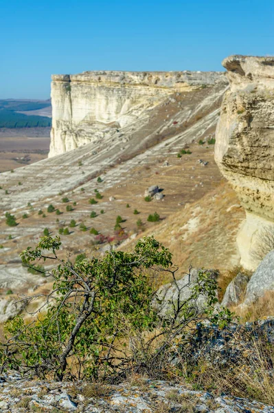 Pintoresca Vista Del Hermoso Paisaje Luz Del Día — Foto de Stock