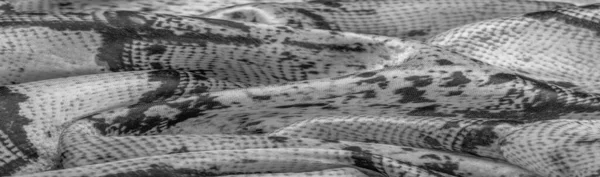 Tecido Monocromático Cinza Com Padrão Pele Cobra Textura Fundo Tecido — Fotografia de Stock