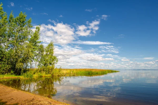 Mooie Zomer Landschap Scène Bij Daglicht — Stockfoto