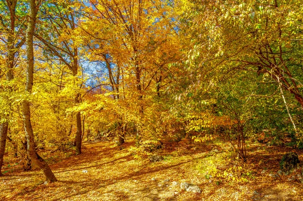 Pittoresk Uitzicht Prachtig Landschap Bij Daglicht — Stockfoto