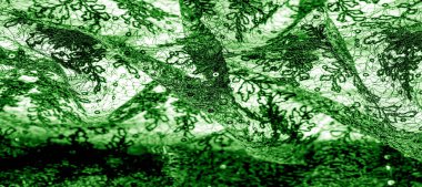 Beyaz arka planda yeşil renkli dantel kumaş. Hassas ve şık, orta sıklet dantel tasarımlarınız, onyatlarınız ve diğer aksanlarınız için mükemmeldir. Doku, desen