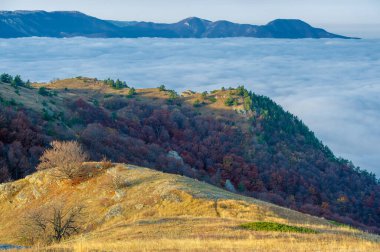 Gün ışığında güzel manzaranın resimsel görüntüsü