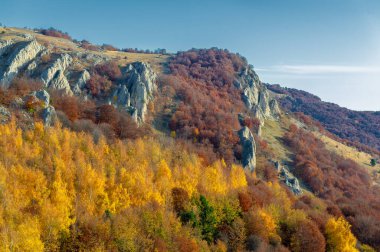 Gün ışığında güzel manzaranın resimsel görüntüsü