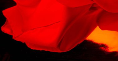 kırmızı ipek kumaş, güzel pürüzsüz zarif, dalgalı, yakut rengi ipek, lüks kumaş, doku arka planı, makro. Soyut tasarım. şablon