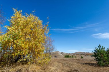 Gün ışığında güzel manzaranın resimsel görüntüsü