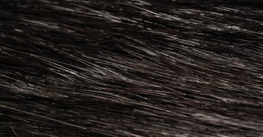 Vahşi su kuşu kürkü, besin, Güney Amerika 'ya özgü bir kemirgene benzeyen büyük bir yarı su kunduzu. Arkaplan dokusu, dekoratif süs,