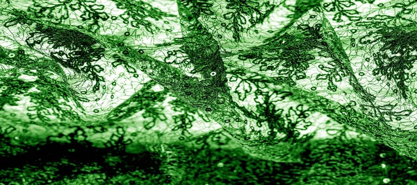 Beyaz arka planda yeşil renkli dantel kumaş. Hassas ve şık, orta sıklet dantel tasarımlarınız, onyatlarınız ve diğer aksanlarınız için mükemmeldir. Doku, desen