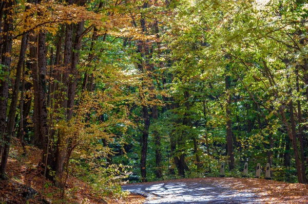 Herfst Foto Van Krim Schiereiland Oude Snelweg Charme Van Sfeer — Stockfoto