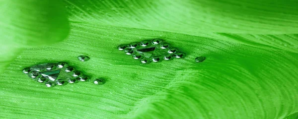 Padrão Seda Tecido Verde Com Pedras Facetadas Decorativas Coladas Fundo — Fotografia de Stock