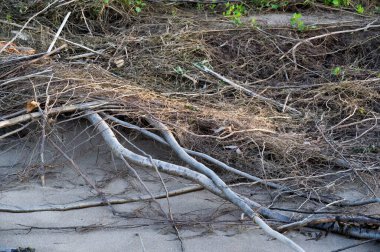 Yaz manzarası. Su ve rüzgarın yarattığı kumun üzerinde bir çizim. Kumdaki ayak izleri çok şey ifade eder: aşk, mutluluk ve hayatın kendisi..