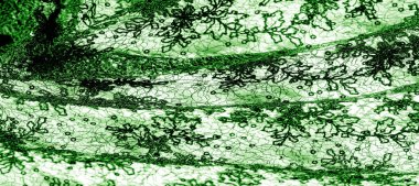 kumaş dokusu, dijital tekstil duvar kağıdı