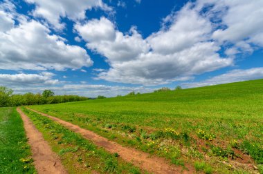 Yeşil bahar manzarası, gündüz manzarası.