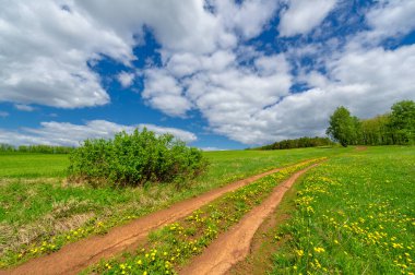 Yeşil ve bulutlu gökyüzü ile yaz manzarası
