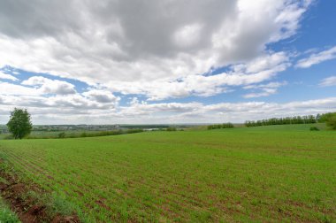 Yeşil ve bulutlu gökyüzü ile yaz manzarası