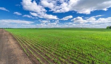 Yeşil ve bulutlu gökyüzü ile yaz manzarası