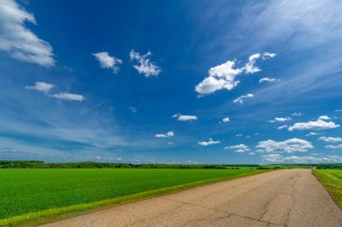 Yeşil bahar manzarası, gündüz manzarası.