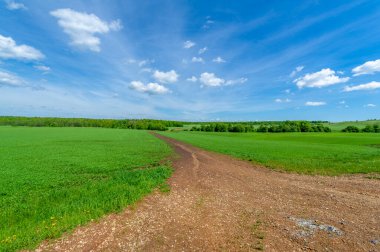 Yeşil bahar manzarası, gündüz manzarası.