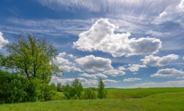 Yeşil bahar manzarası, gündüz manzarası.