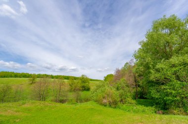 Yeşil ve bulutlu gökyüzü ile yaz manzarası