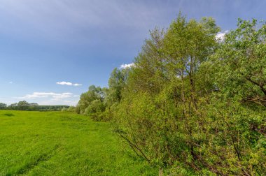 Yeşil ve bulutlu gökyüzü ile yaz manzarası