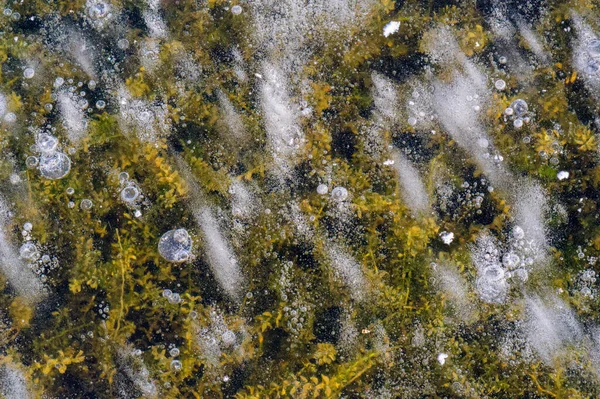 Beyaz kış, buzun içinde donmuş gazlardan oluşan buz kabarcıkları. Buz, buzun üzerinde şekillendi. Aşırı derecede soğuk donmuş su. Desen desen arkaplanı