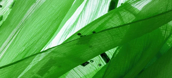 Padrão Seda Tecido Verde Com Pedras Facetadas Decorativas Coladas Fundo — Fotografia de Stock