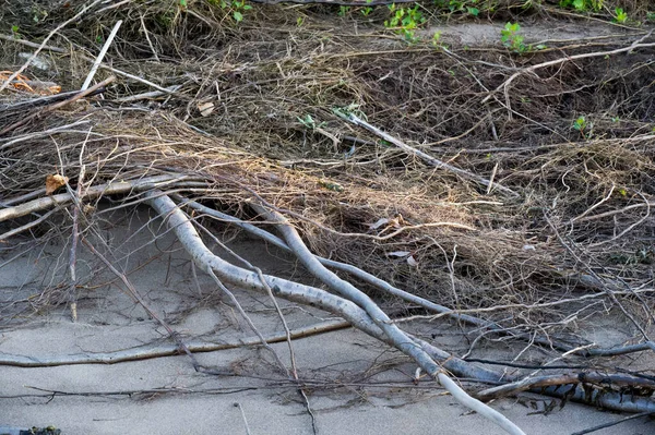 Yaz manzarası. Su ve rüzgarın yarattığı kumun üzerinde bir çizim. Kumdaki ayak izleri çok şey ifade eder: aşk, mutluluk ve hayatın kendisi..