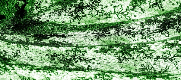 kumaş dokusu, dijital tekstil duvar kağıdı