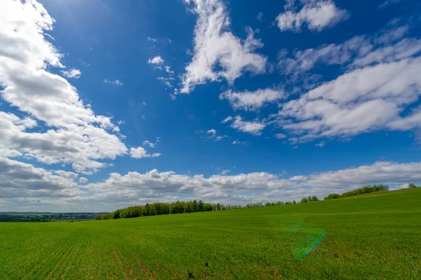 Yeşil ve bulutlu gökyüzü ile yaz manzarası
