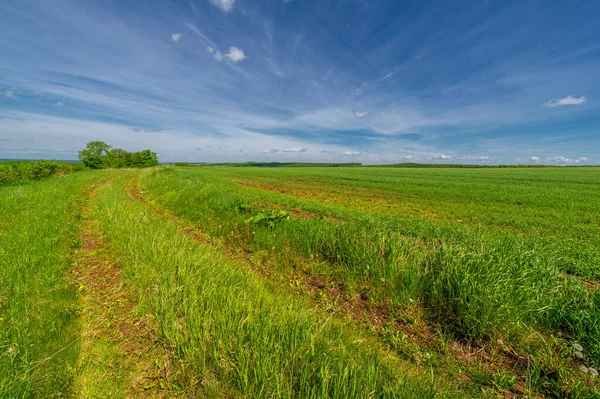 Pittoresk Utsikt Över Vackert Landskap Dagsljus — Stockfoto