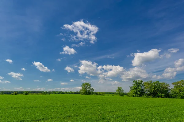 Vista Pittoresca Bellissimo Paesaggio Alla Luce Del Giorno — Foto Stock