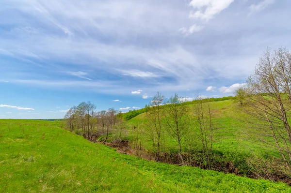 Zielona Scena Wiosenna Krajobraz Świetle Dziennym — Zdjęcie stockowe