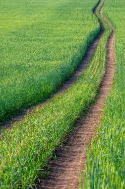 Gün ışığında güzel yaz manzarası