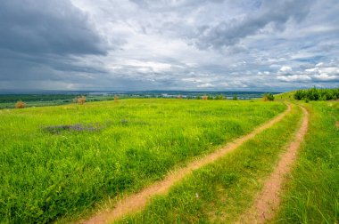 Yeşil ve bulutlu gökyüzü ile yaz manzarası