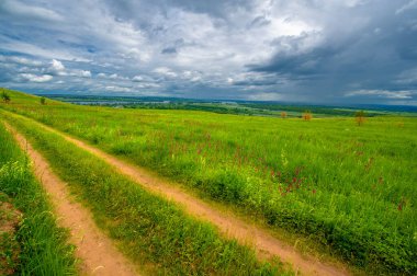 Gün ışığında güzel yaz manzarası
