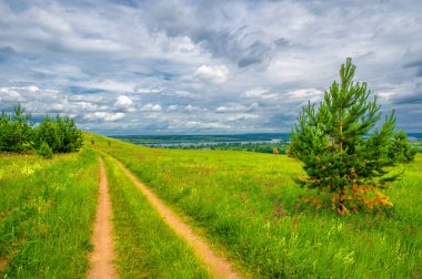 Gün ışığında güzel yaz manzarası