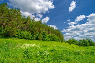 Gün ışığında güzel yaz manzarası