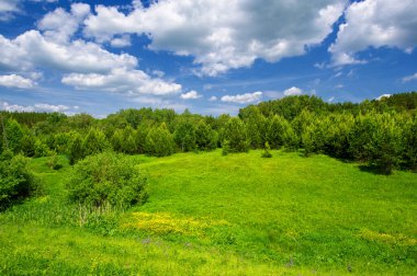 Yeşil ve bulutlu gökyüzü ile yaz manzarası
