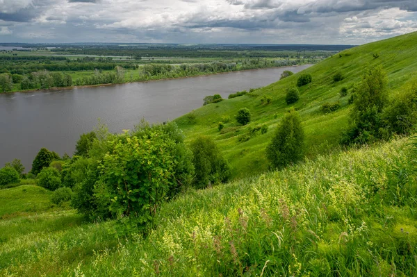 Vacker Sommar Landskap Scen Dagsljus — Stockfoto